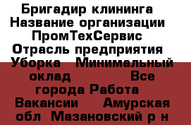 Бригадир клининга › Название организации ­ ПромТехСервис › Отрасль предприятия ­ Уборка › Минимальный оклад ­ 30 000 - Все города Работа » Вакансии   . Амурская обл.,Мазановский р-н